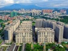 南湾：安商稳商，做强产业增长“压舱石”｜南湾经济小记②