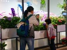 花王盛放！北京路“永不落幕的花市”开启花卉盛宴