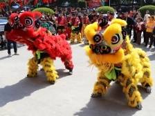 游园舞狮、“村BA”对决，江门这里年味浓｜新春走基层