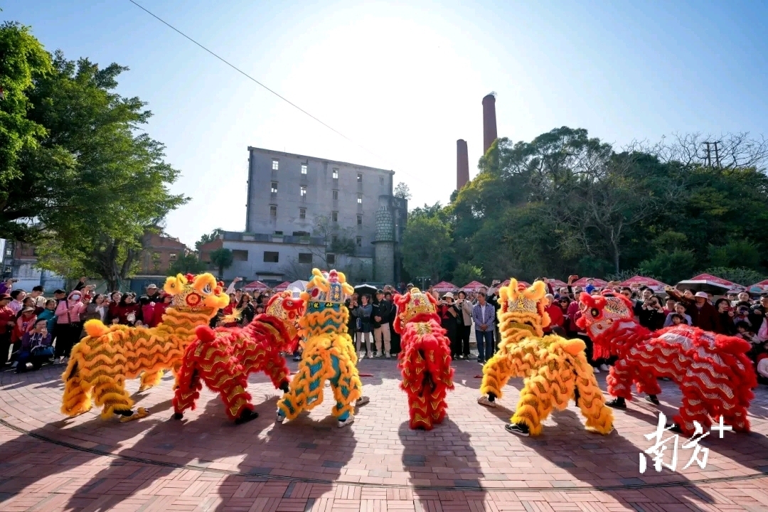 在珠海市金湾区，54年的红旗糖厂迎来新生。&nbsp;