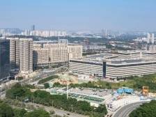 强化招商引资，铸造经济腾飞“强引擎”｜南湾经济小记③