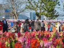 新春人气旺，横琴公共空间变身“新年会客厅”