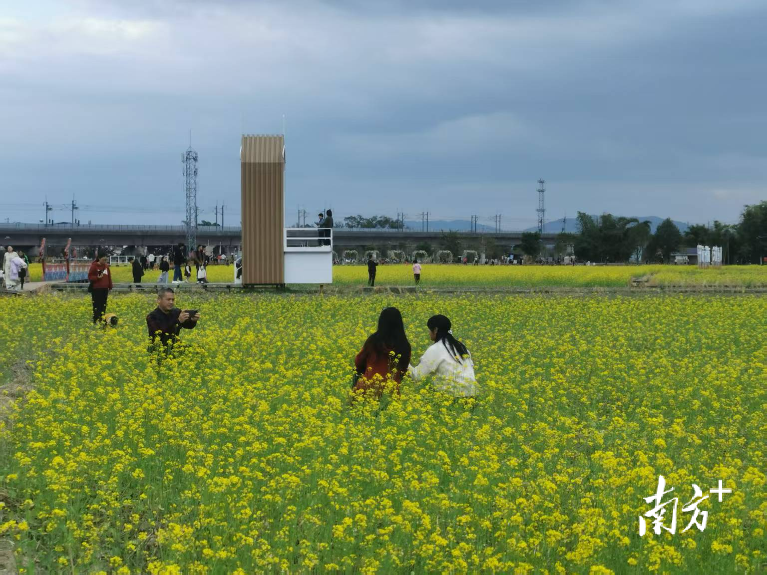 市民游客在韶关武江重阳镇水口村千亩油菜花海拍照打卡。唐音 摄 市民游客在韶关武江重阳镇水口村千亩油菜花海拍照打卡。唐音 摄