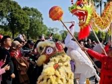 非遗年+消费年，“北上”珠海成港澳居民过年“潮”选