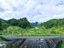 返程高峰来了！深圳这些路段易拥堵