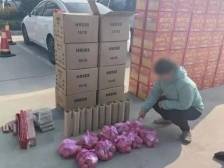 过年买的烟花，能用私家车运回深圳吗？答案来了