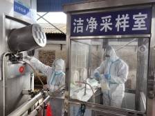 肇庆供港生乳的“鲜”密码｜新春走基层