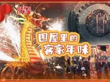 火龙闹新春、围屋庆团圆，这是记忆中的客家年味｜我镜头里的广东年