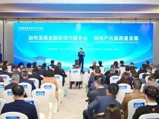 广东金融业的“钱”将流向哪里？新春第一会透露玄机