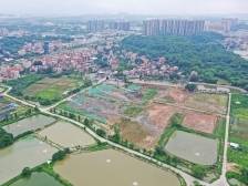 首次公布范围！佛山市委书记唐屹峰：高标准建设环两江先行区