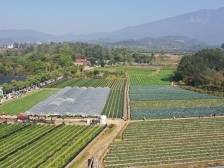 博罗县委书记周耿斌：推动县域现代化产业体系向新向强