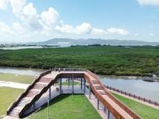 阳西县委书记张秀洁：加速推动特色产业成链成群发展