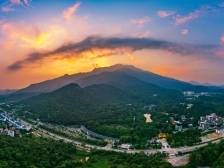 2025年拼四个“力”！博罗召开新春第一会