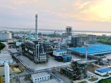 东莞沙田：打造莞港合作新高地，争创外贸新优势