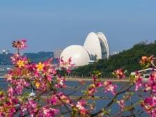 促进研发转化，珠海将打造应用场景创新“首发市”