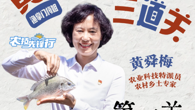 渔掌门梅姐带你养黄立鱼：第一关种苗选择关| 农技先锋行