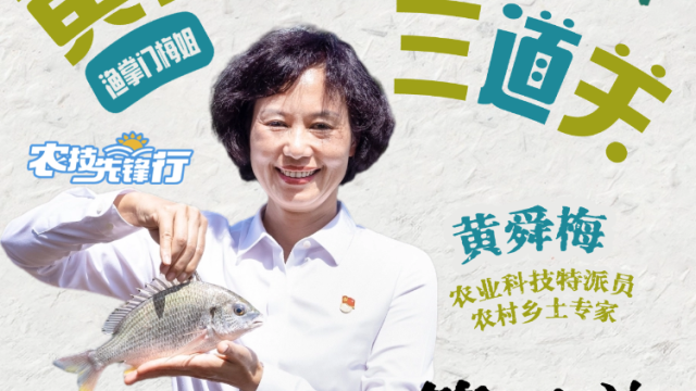 渔掌门梅姐带你养黄立鱼：第二关标准化养殖| 农技先锋行