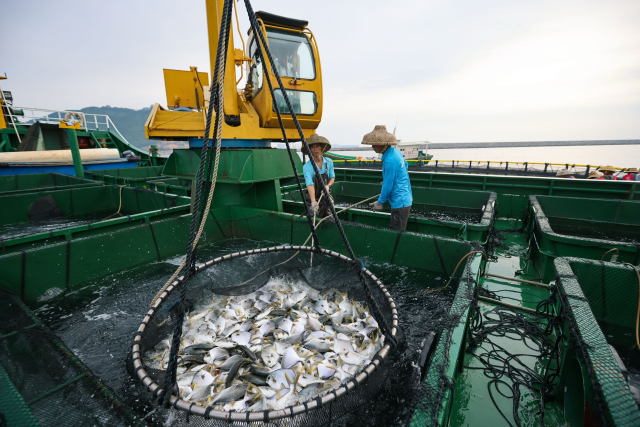 2025年，广东水产加工与品牌建设空间将进一步扩大，从“养殖”到“加工”的产业逻辑加快显现。