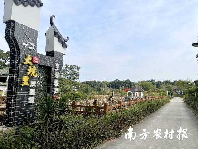 大坑里百年榕树林生态休闲区入口。