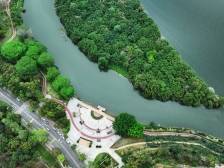 小楼镇：全面融入引领区建设，打响“四个一”农业品牌｜高质量发展看增城