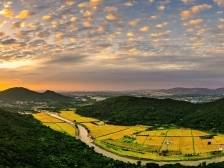 街口街党工委书记温晓敏：全力打造“森林下的山水城市”｜聚焦从化“新春第一会”