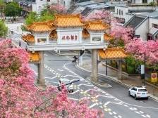 温泉镇党委书记陈雷蕾：以典型镇创建为抓手，提升从化温泉国际影响力｜聚焦从化“新春第一会”