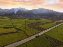 美丽庭院为“百千万工程”描绘新风景