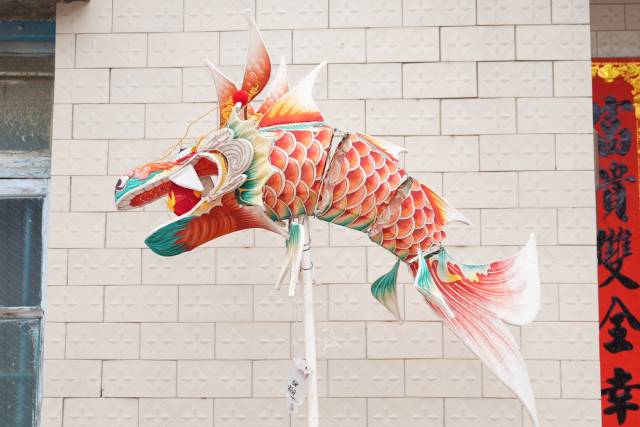 作品名：《灵韵龙鱼》