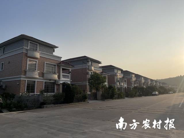 村内整齐划一的“别墅”由村委会设计修建。