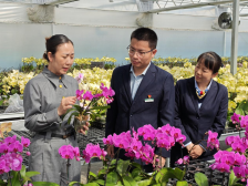 授信两亿元，放款近亿元！邮储银行韶关市分行助力翁源兰花新春绽放