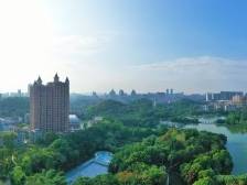 江门这四年，出“新”攀“高”向“前”