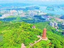 鹤山市委书记刘志刚：全力以赴抓项目，力争今年GDP增长6%