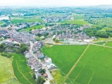 开平市委书记余中华：将2025年确定为“基层基础年”