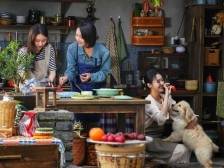 中国微短剧，在海外“狂飙”