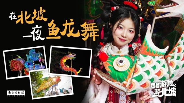 在北坡，一夜鱼龙舞 | 跟着游鱼游北坡