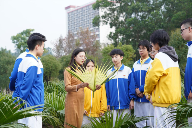 学校成为了新会葵艺传承的一大重要阵地。 学校成为了新会葵艺传承的一大重要阵地。