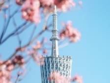 广东省妇女第十四次代表大会将于2月14日在广州开幕