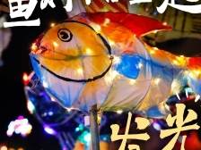 别紧张，新一年，北坡游鱼陪你一起发光