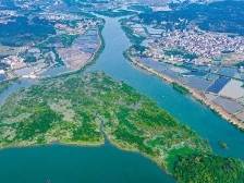 湛江人气最旺古镇何以长红 | 速览《南方日报·廉江视窗》179期