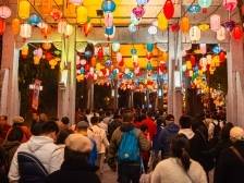 深圳元宵灯会好热闹！非遗盛宴点亮中国年