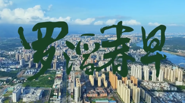 罗浮春早，逐梦前行！博罗发布全新城市宣传片