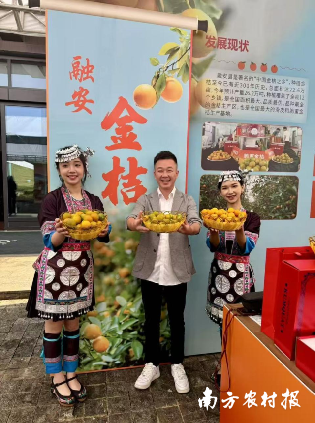 广西蚂蚁农业有限公司总经理韦小东（中）推介融安金桔。