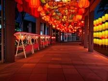 今日元宵节，在阳江怎么过？我们帮你问了问DeepSeek...