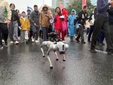 尽显科技范！机器狗来给江门市民送元宵祝福了