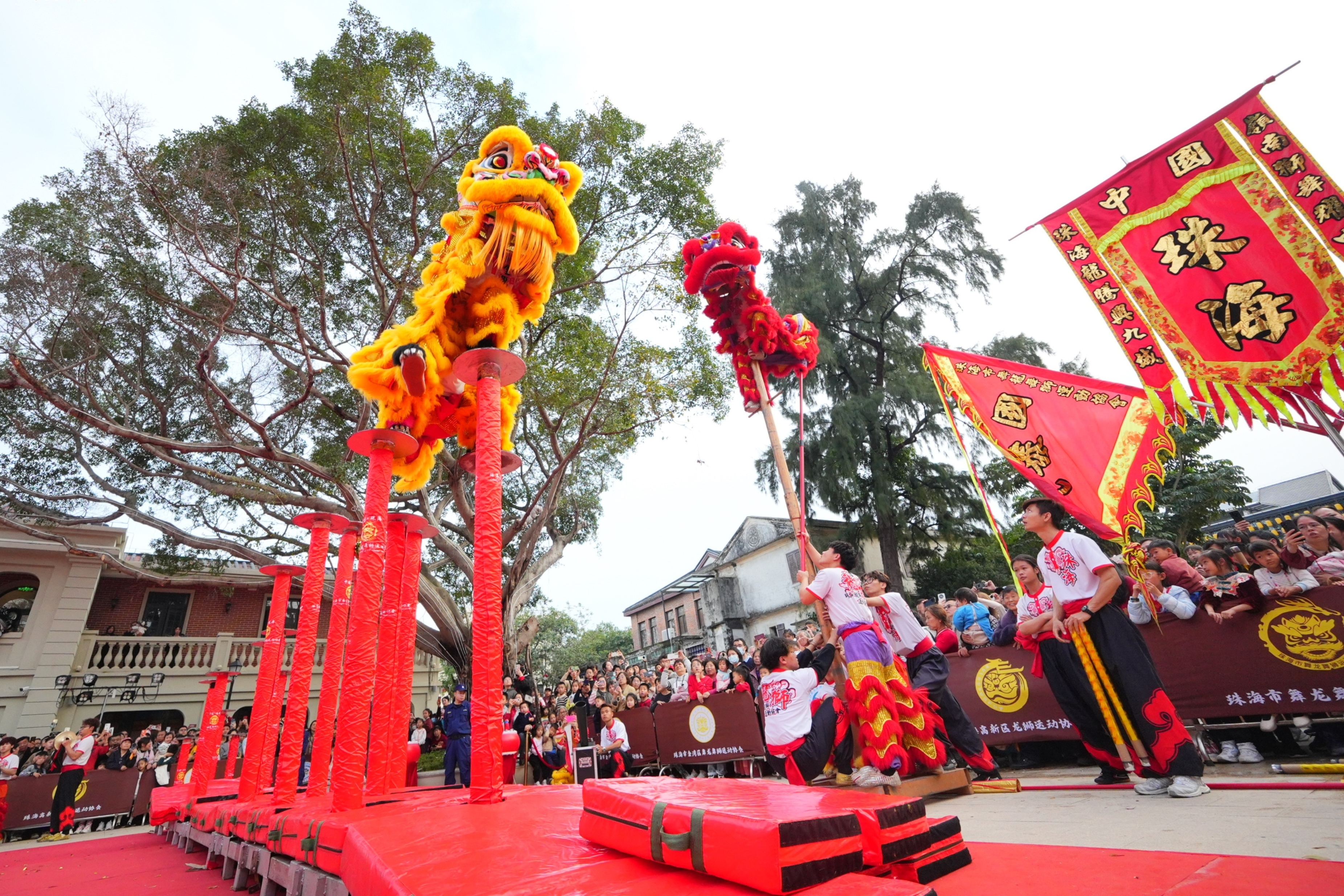 来自珠港澳三地40多头龙狮同台献艺。&nbsp;