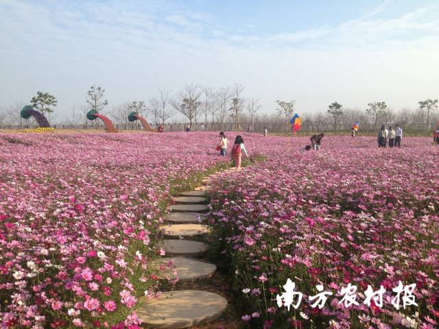 农旅融合发展。