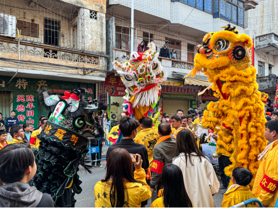 英德市大湾镇：焰舞麒麟闹元宵，共绘乡亲民俗情