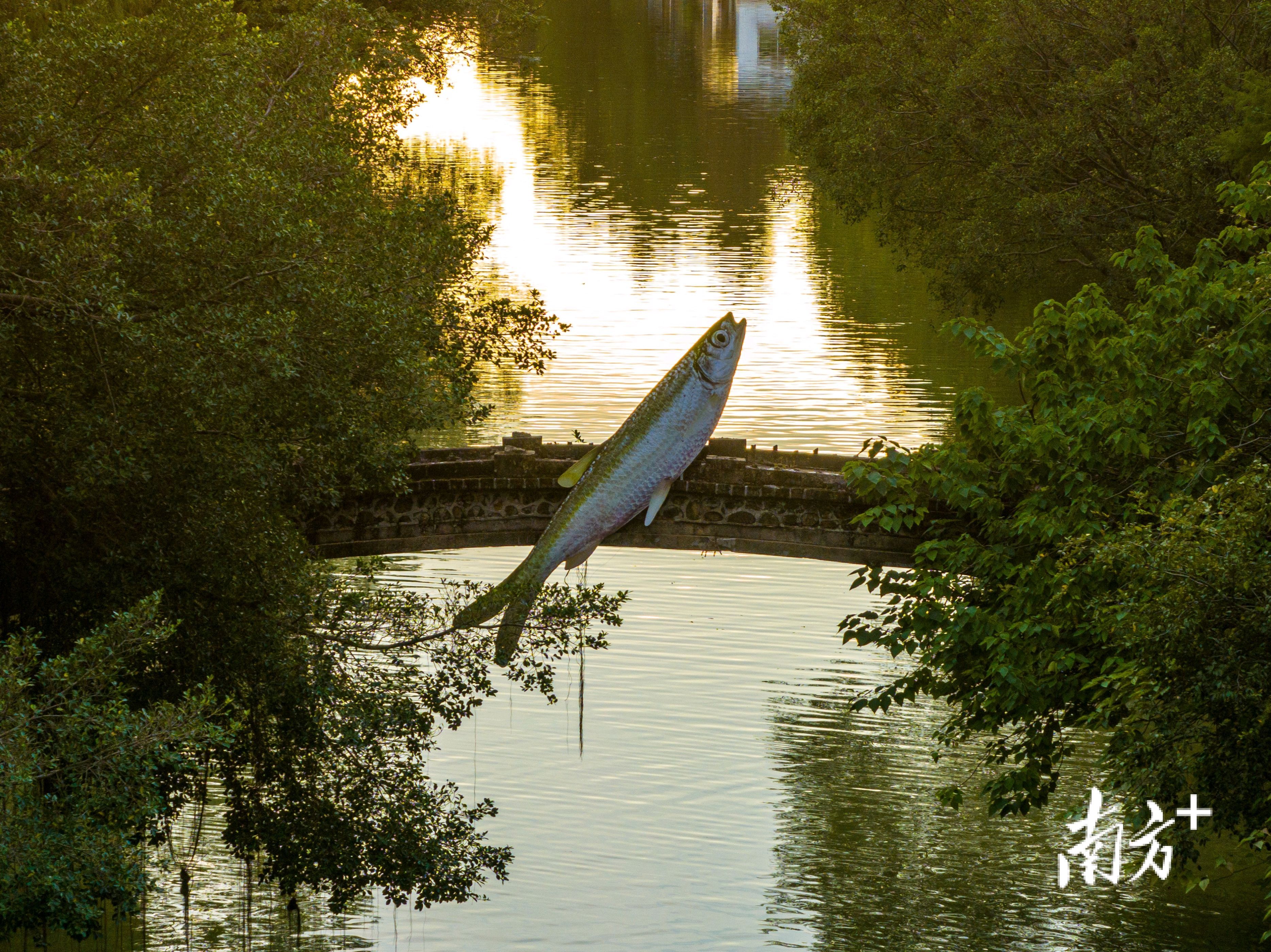 第二届广东南海大地艺术节共展出来自海内外165组艺术家的95个艺术项目。图为艺术项目《浮出水面》。&nbsp; 廖明璨 摄