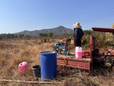 荒地变“宝地”！连平三角镇驻镇帮扶“落地生花” | 驻在千镇万村⑥