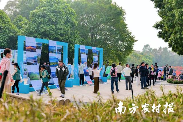 市民参观红树林保护宣传展。